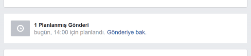 ileri tarihli gönderi e1495840920849