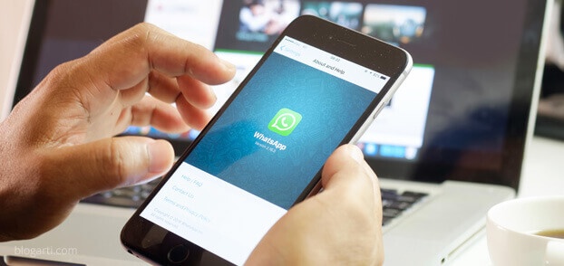 whatsapp yardım