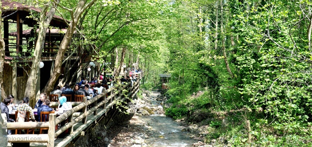maşukiye