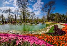 Emirgan Parkı