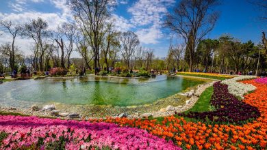 Emirgan Parkı