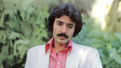 Ferdi Tayfur